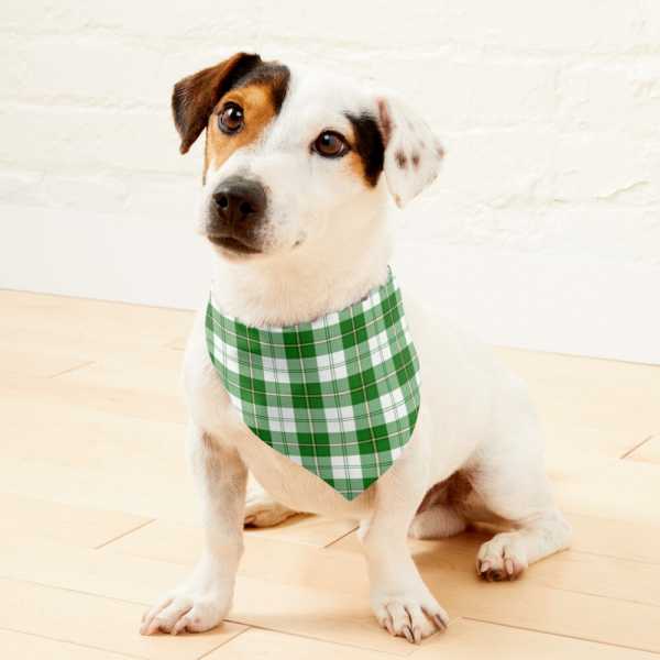 Clan Cunningham Green Dress Tartan Pet Bandana