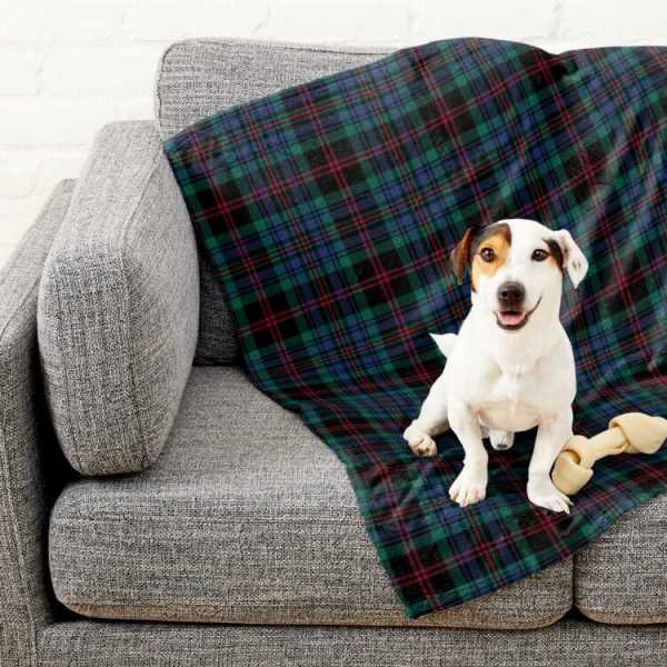 Daly tartan pet blanket