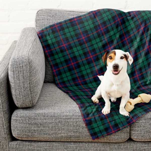 Denholm District tartan pet blanket