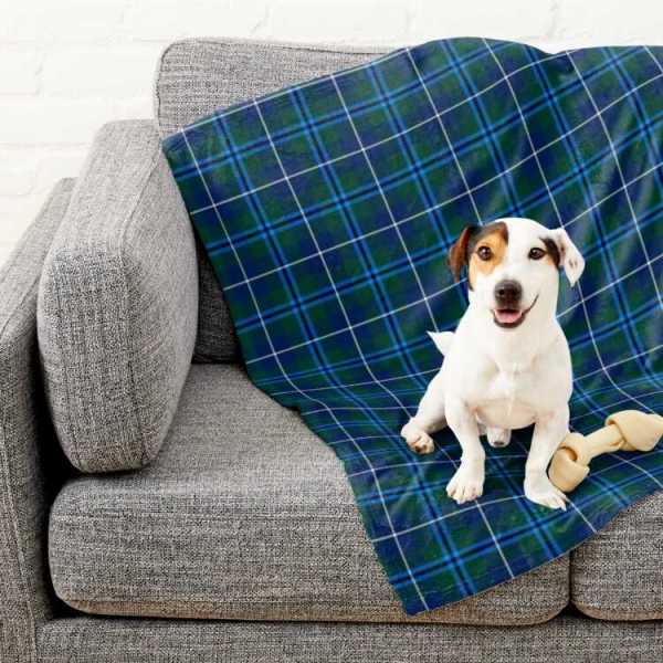 Douglas tartan pet blanket