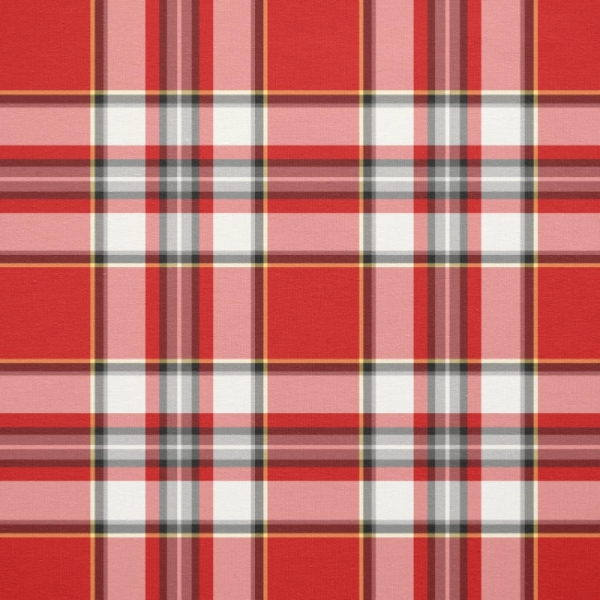 Drummond Dress tartan fabric