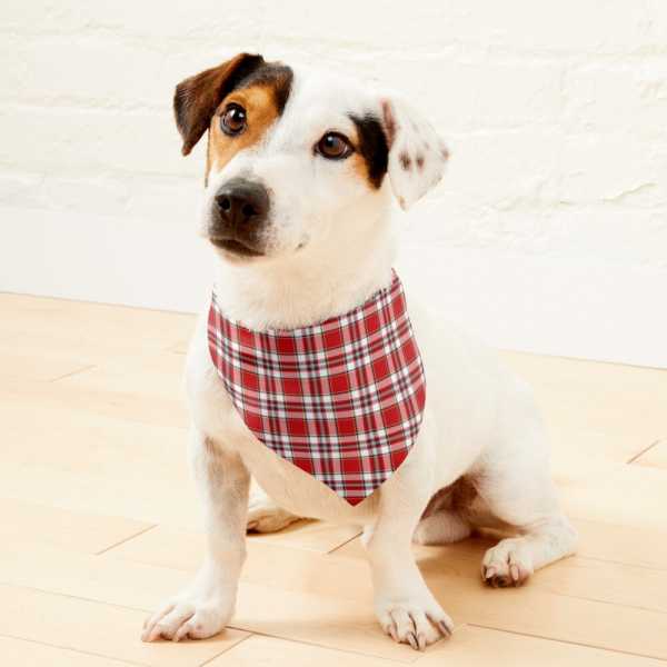 Clan Drummond Dress Tartan Pet Bandana