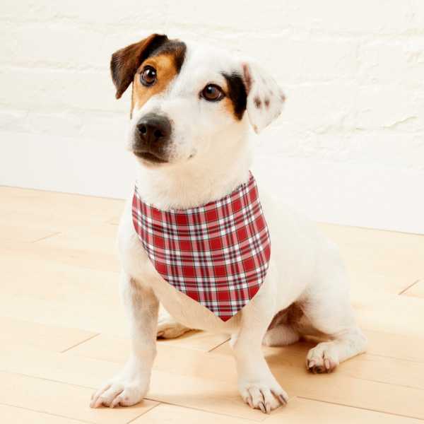 Drummond Dress tartan pet bandana