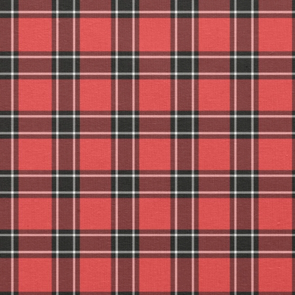 Dunbar District tartan fabric