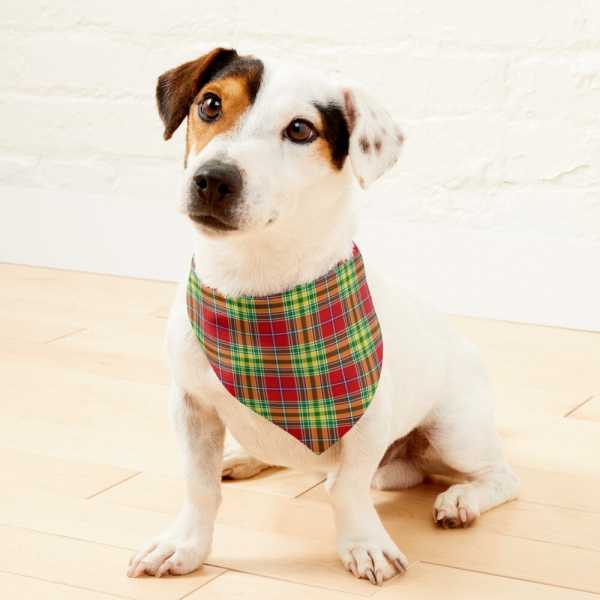 Dunblane District tartan pet bandana