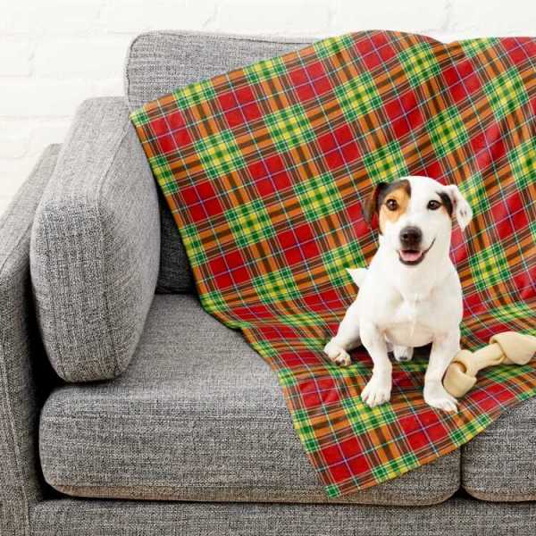 Dunblane District tartan pet blanket