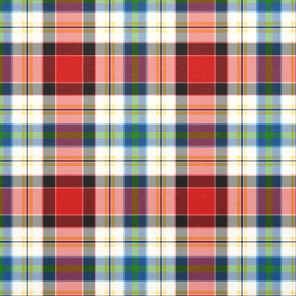 Dundee Dress tartan fabric