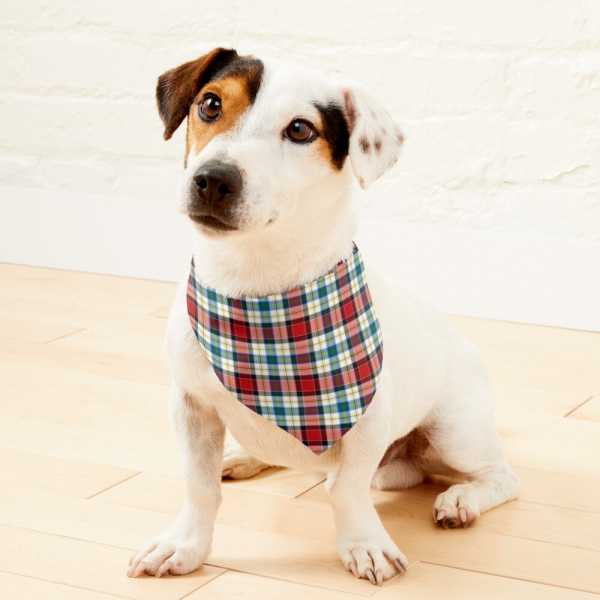 Dundee Dress tartan pet bandana