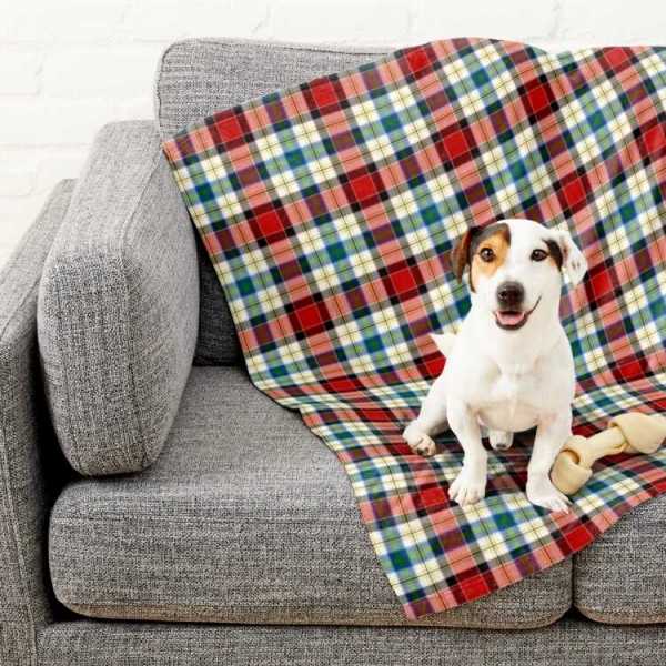 Dundee Dress tartan pet blanket