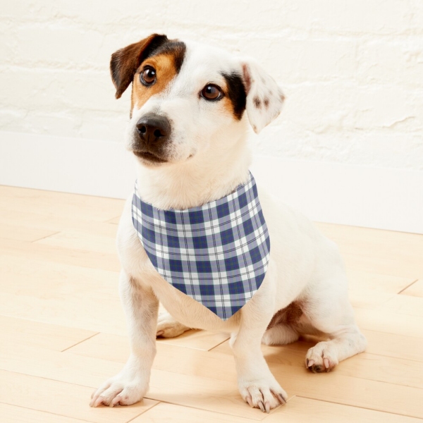 Edinburgh Dress tartan pet bandana