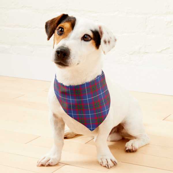 Edinburgh District tartan pet bandana