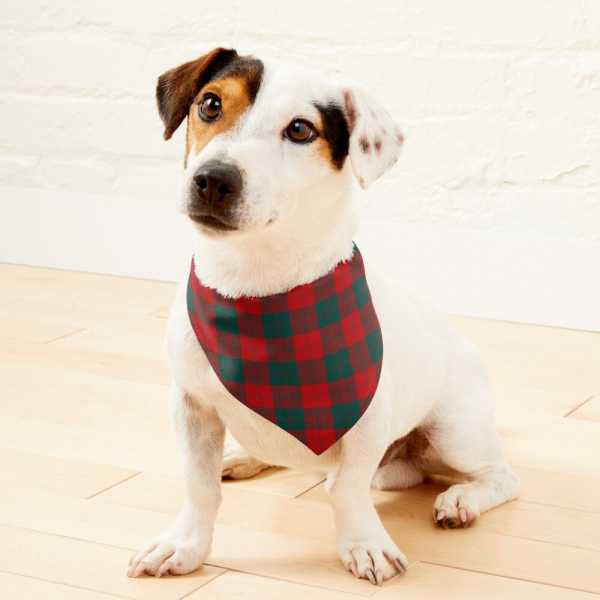 Erskine tartan pet bandana