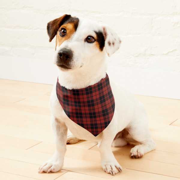 Ettrick District tartan pet bandana