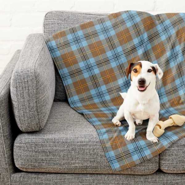 Falkirk District tartan pet blanket