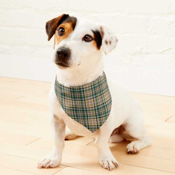 Farrell tartan pet bandana