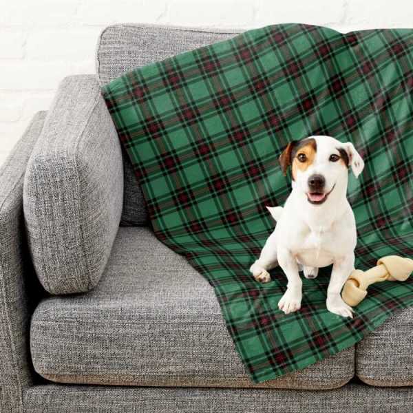 Fife District tartan pet blanket