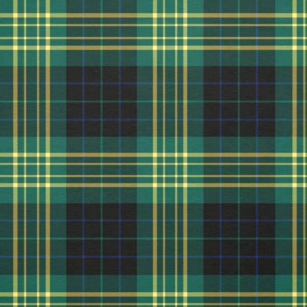 Fitzpatrick Hunting tartan fabric