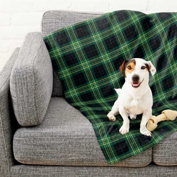 Fitzpatrick Hunting tartan pet blanket