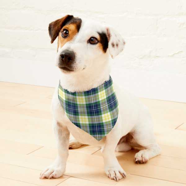 Clan Fitzpatrick Tartan Pet Bandana