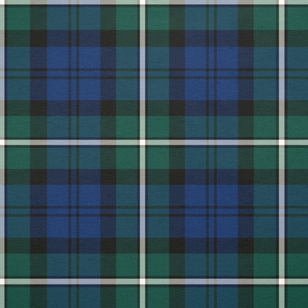 Forbes tartan fabric