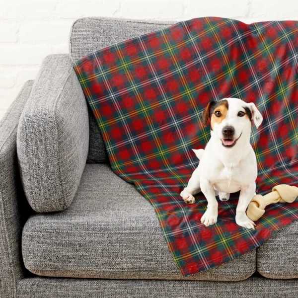 Foster tartan pet blanket