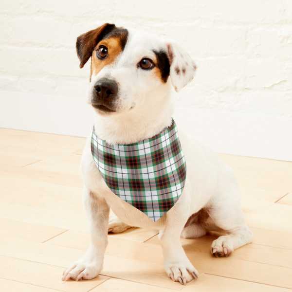 Fraser Dress tartan pet bandana