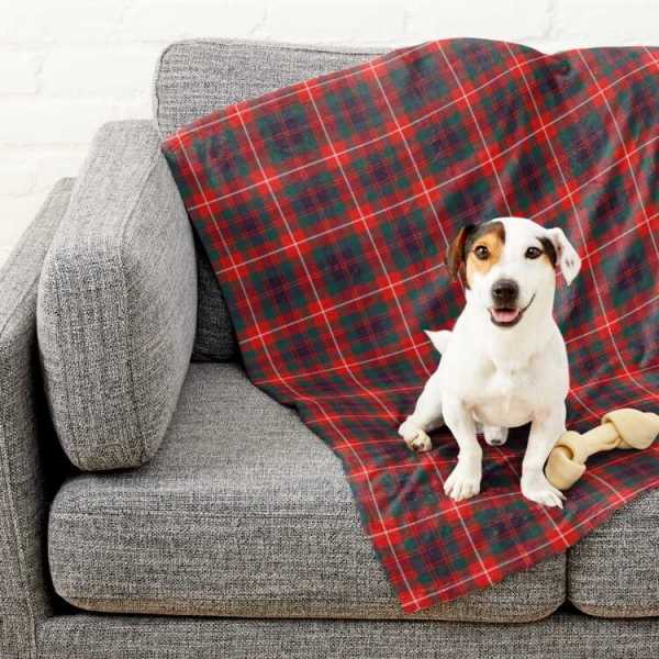 Fraser of Lovat tartan pet blanket