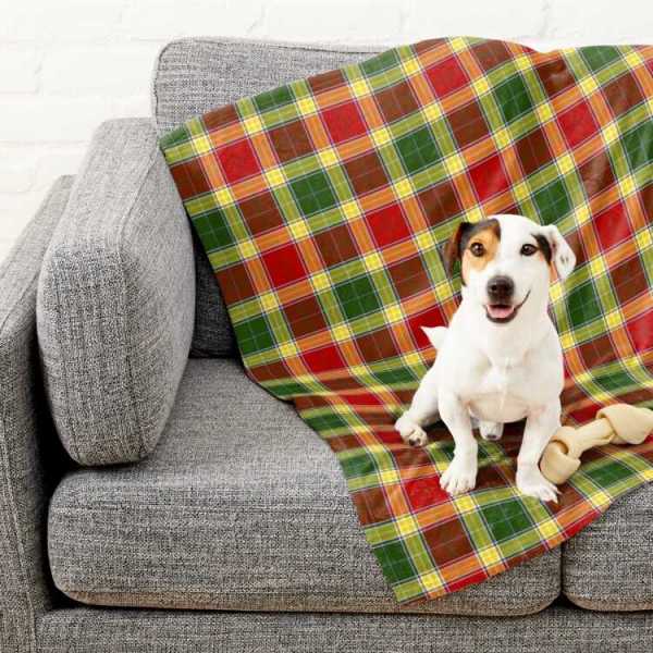 Gibbs tartan pet blanket