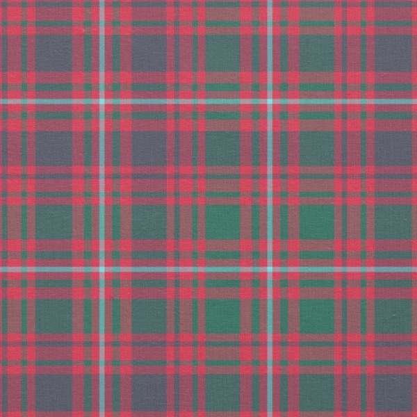 Glen Orchy District tartan fabric