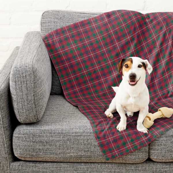 Glen Orchy District tartan pet blanket