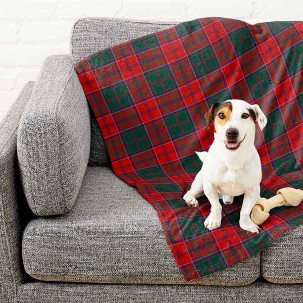 Grant tartan pet blanket