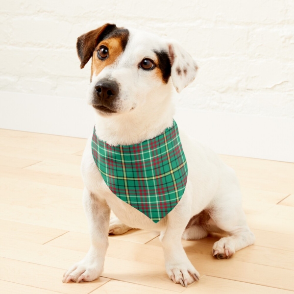 Green Retro Christmas Plaid Pet Bandana