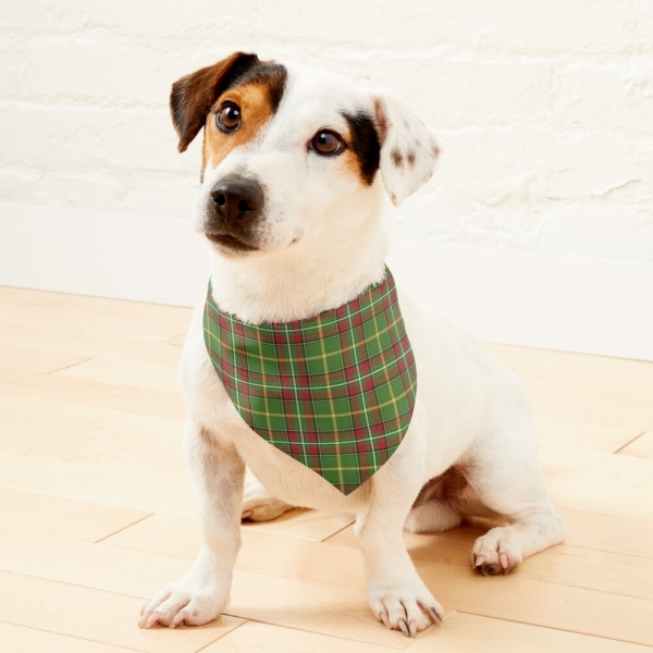 Green Christmas Plaid Pet Bandana