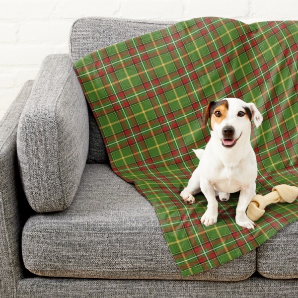 Green Christmas Plaid Pet Blanket