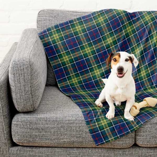 Greene tartan pet blanket