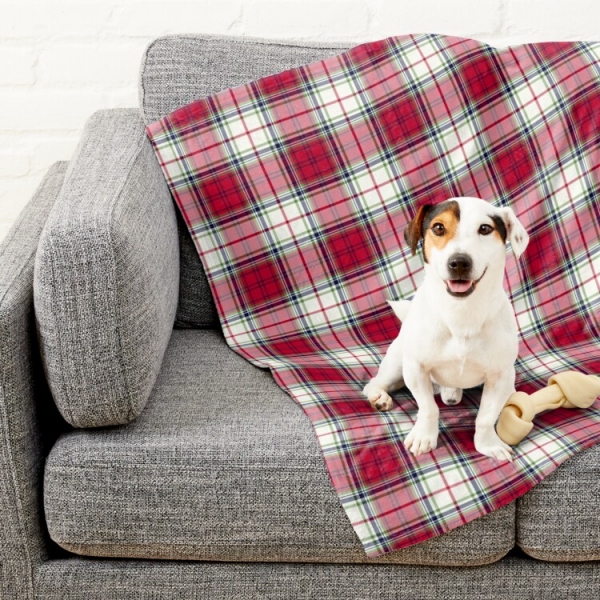 Highland Christmas Plaid Pet Blanket