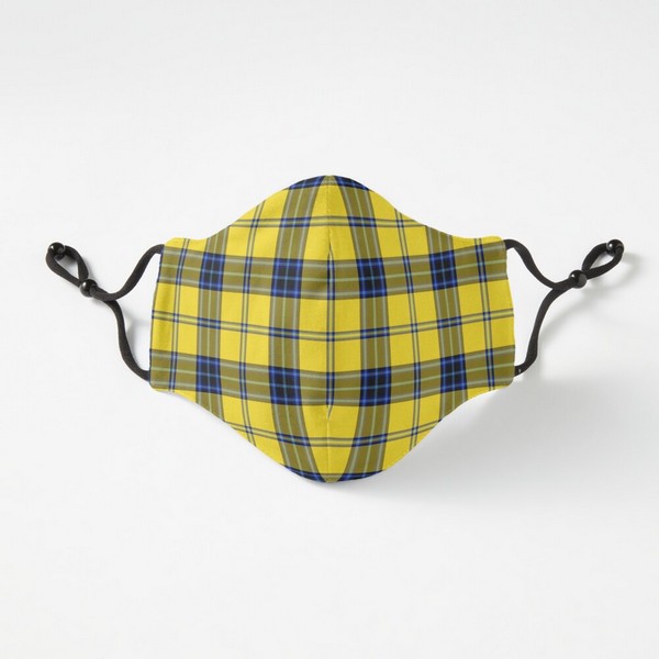 Hughes tartan fitted face mask