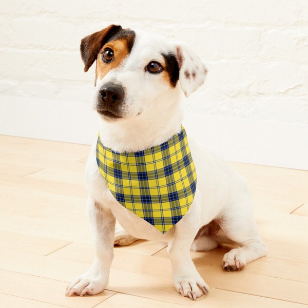 Hughes tartan pet bandana