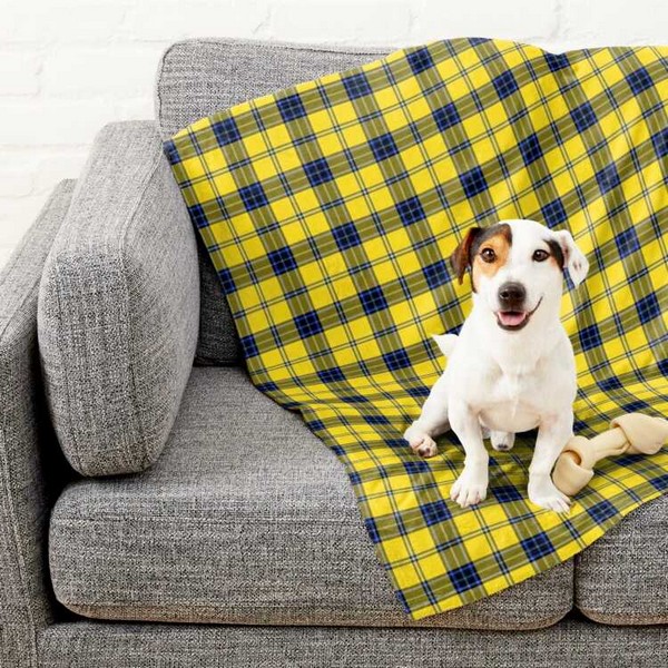 Hughes tartan pet blanket