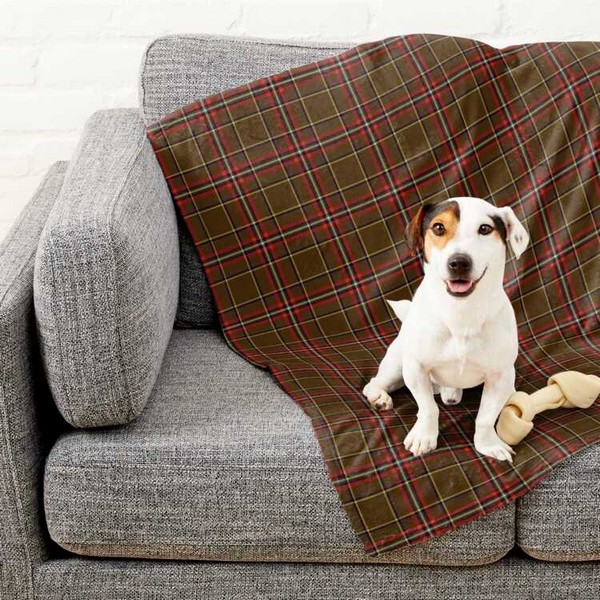 Inches tartan pet blanket