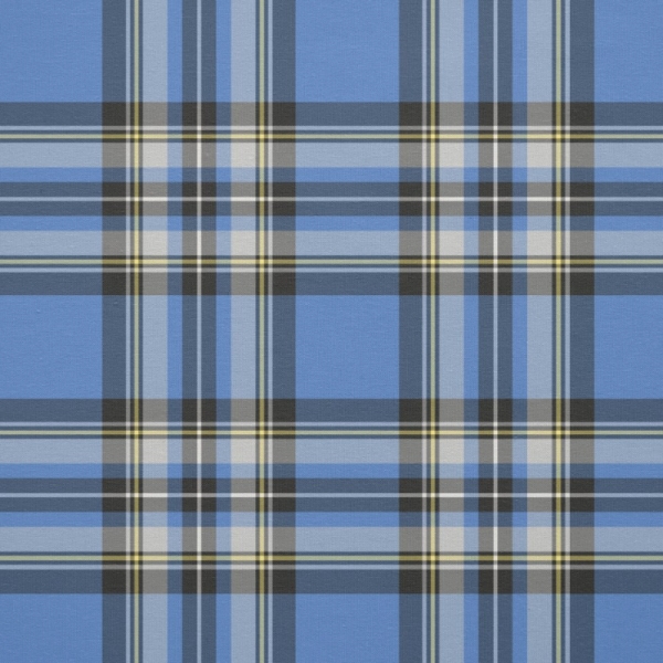 Isle of Skye District tartan fabric
