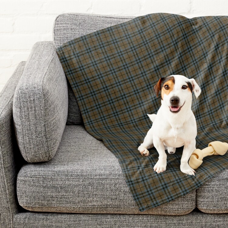 Keith Weathered tartan pet blanket