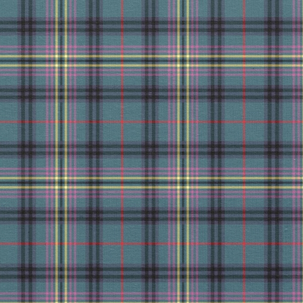 Kennedy Ancient tartan fabric