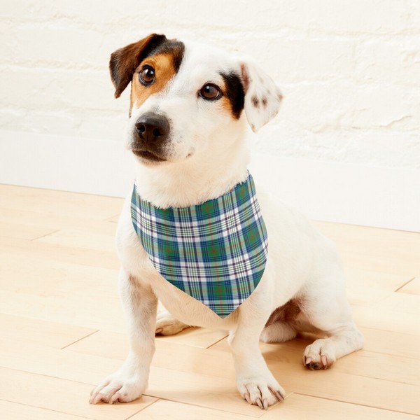 Kennedy Dress tartan pet bandana