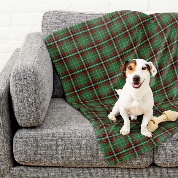 Kiernan tartan pet blanket