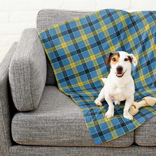 Laing tartan pet blanket