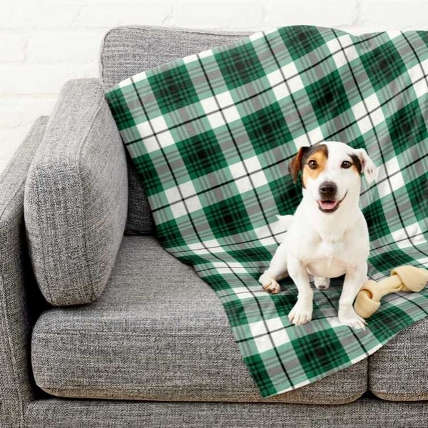 Lamont Dress tartan pet blanket