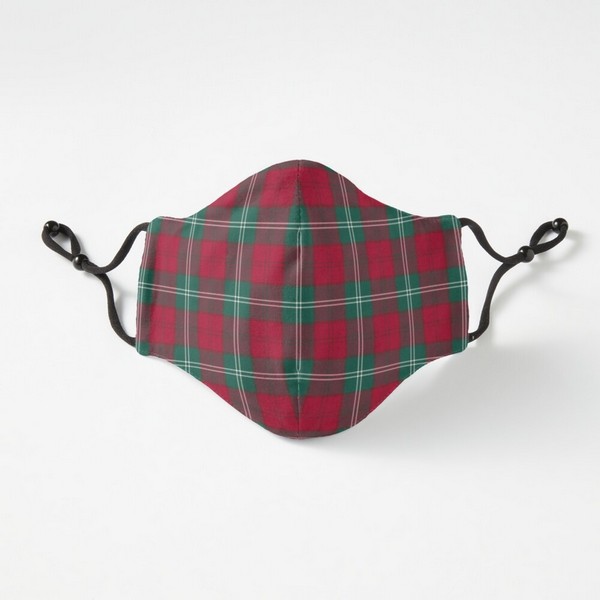 Lennox District tartan fitted face mask