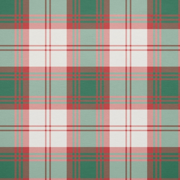 Lindsay Dress tartan fabric