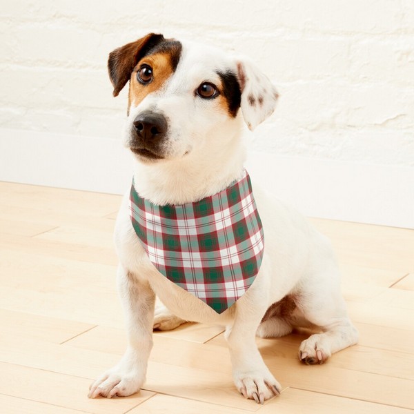 Clan Lindsay Dress Tartan Pet Bandana